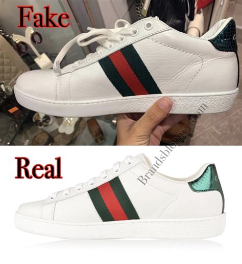 gucci shoes sneakers replica|gucci ace sneakers real.